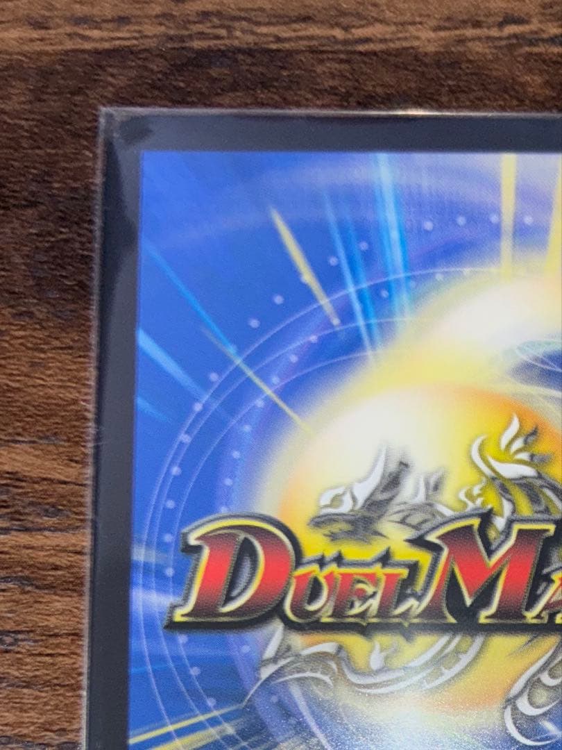 聖霊超王 H・アルカディアス Hアルカディアス シク シークレット