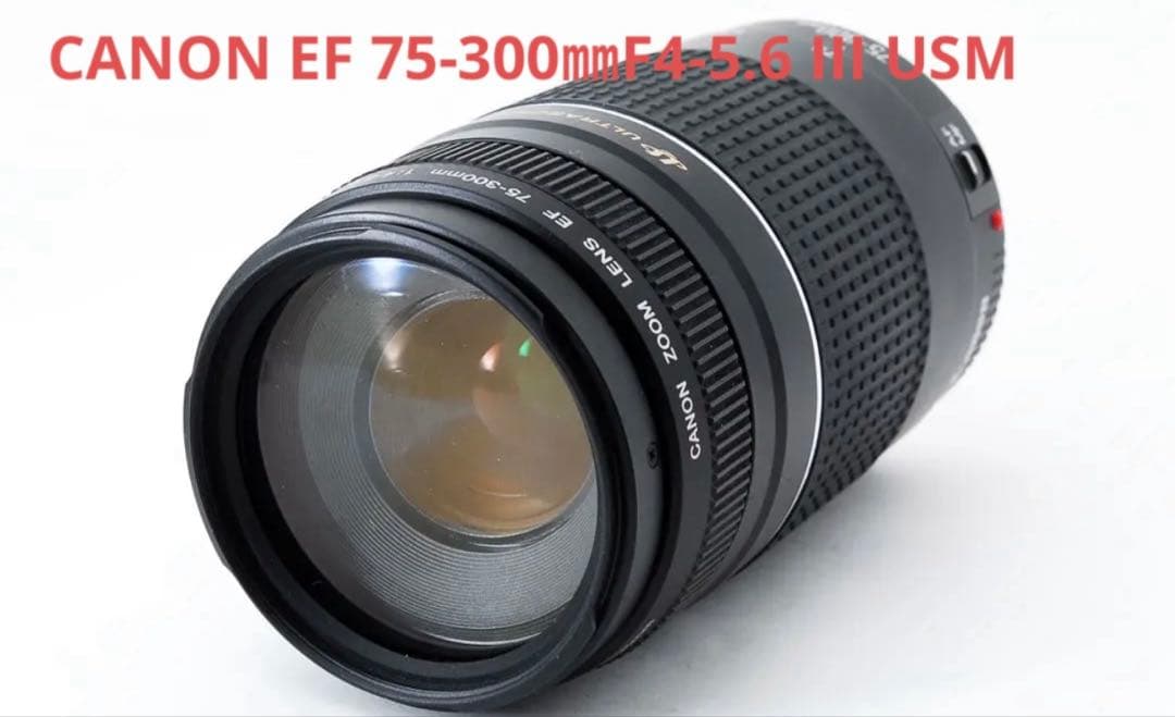 大望遠レンズ☆デジタル一眼レフカメラ☆Canon EF75-300 USM