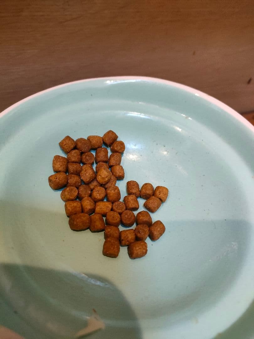 Hill's Prescription Diet c/d 尿ケア ドライ　４キロ