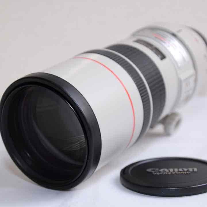 Canon 単焦点望遠レンズ EF300mm F4L IS