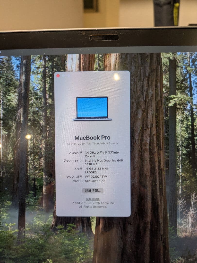 MacBook本体 MacBook Pro 2020 13inch i5 16GB 2TB