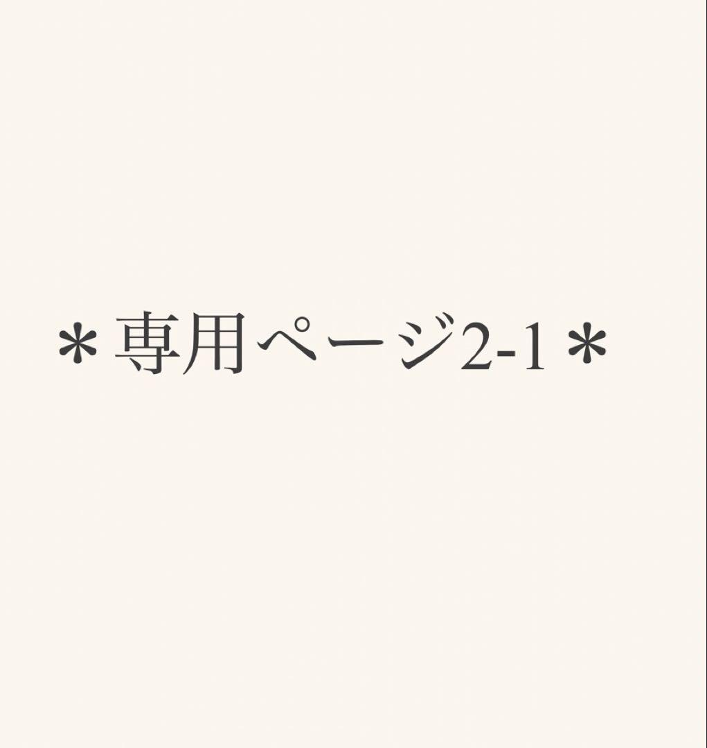 2-1⚠️専用ページ⚠️エアバギーDOME3 ペットカート　アースグレー　ラージ