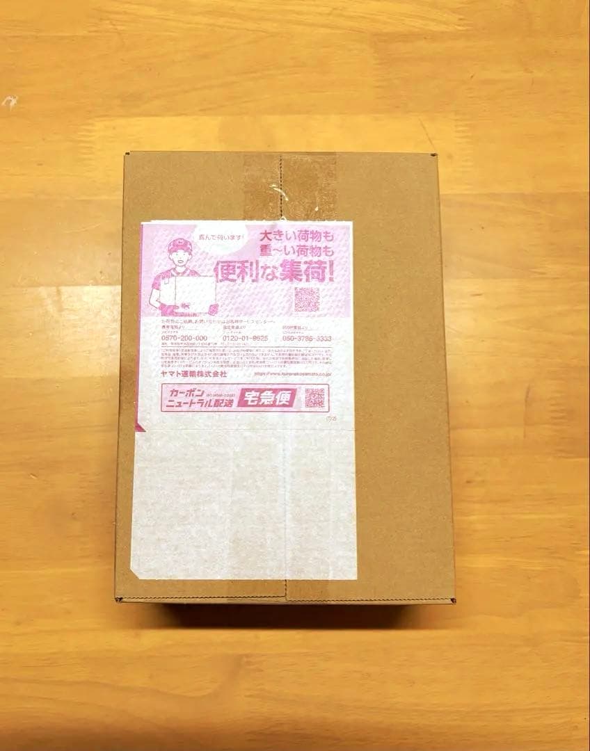 ポケモンカードゲーム スタートデッキ100 2個セットポケセン産開封ダンボール箱