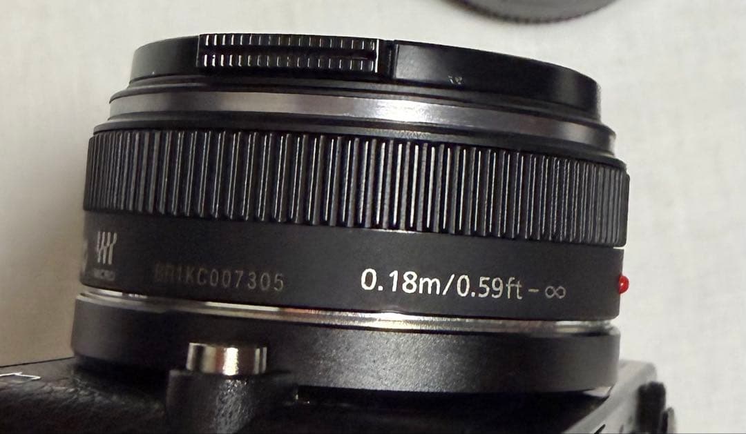 Panasonic LUMIX DMC-GM1K ブラック [中古美品]