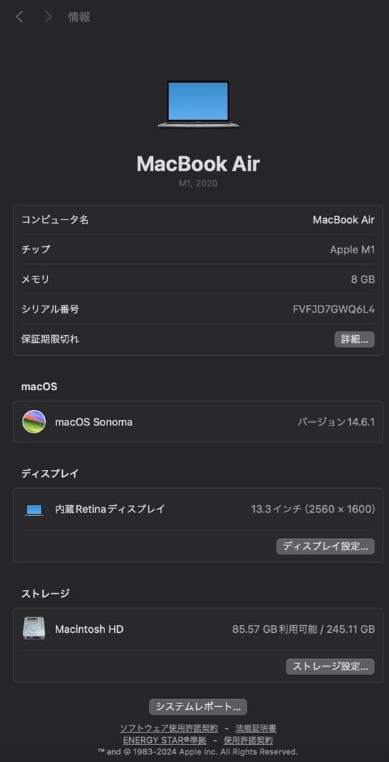 MacBook本体 Apple MacBook Air 8GB 256GB