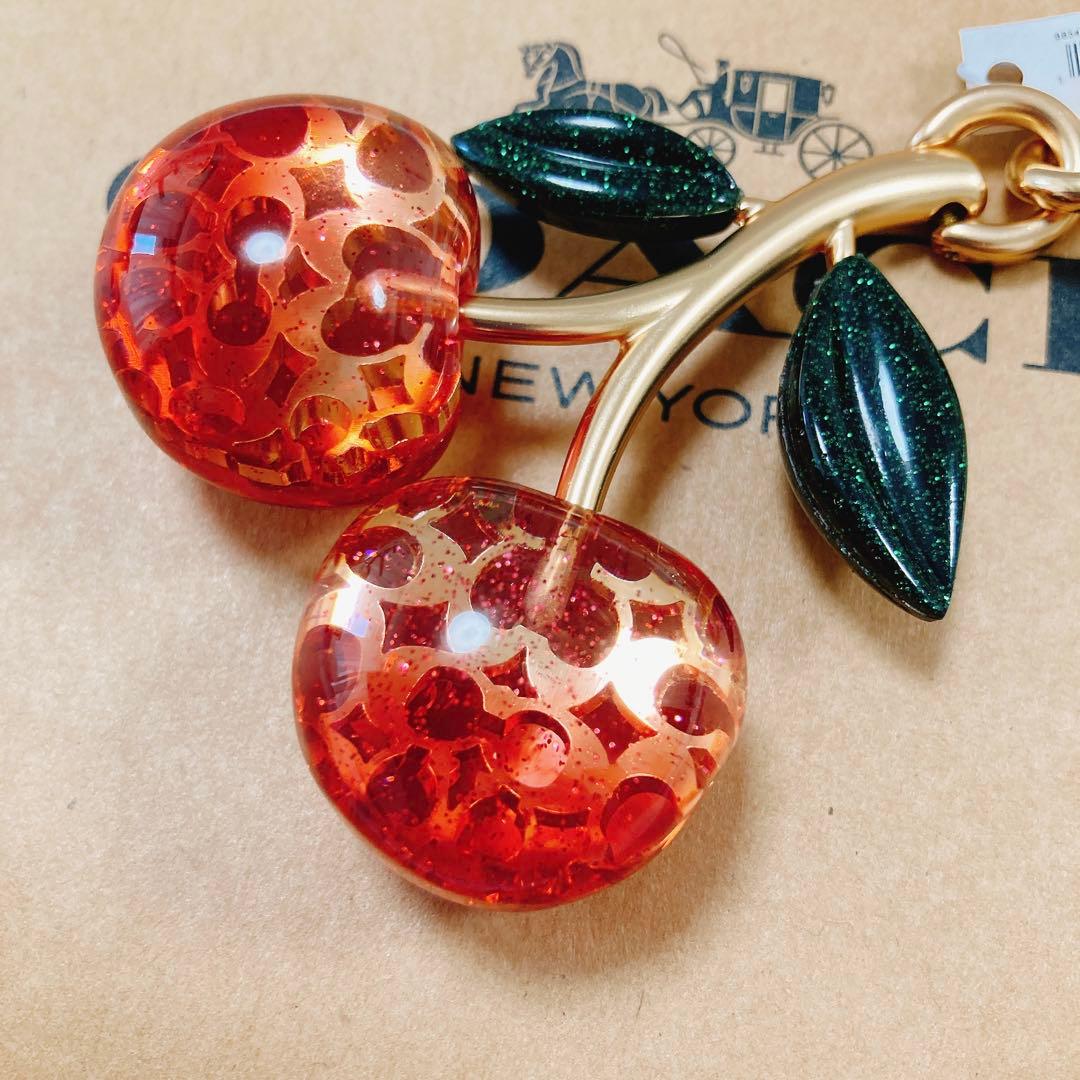 新品❇︎正規品 COACH チェリー チャーム キーリング シグネイチャー