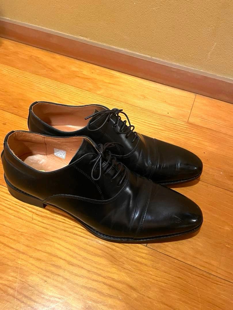 【美品】Cent Felina 1614 ブラック united arrows