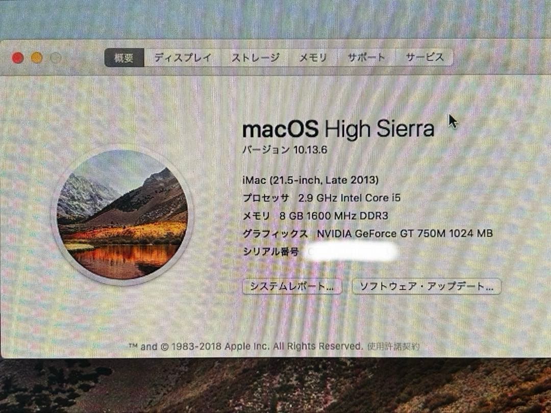 iMac 21.5インチ 1TB(純正マウス+純正USB DVDドライブ)
