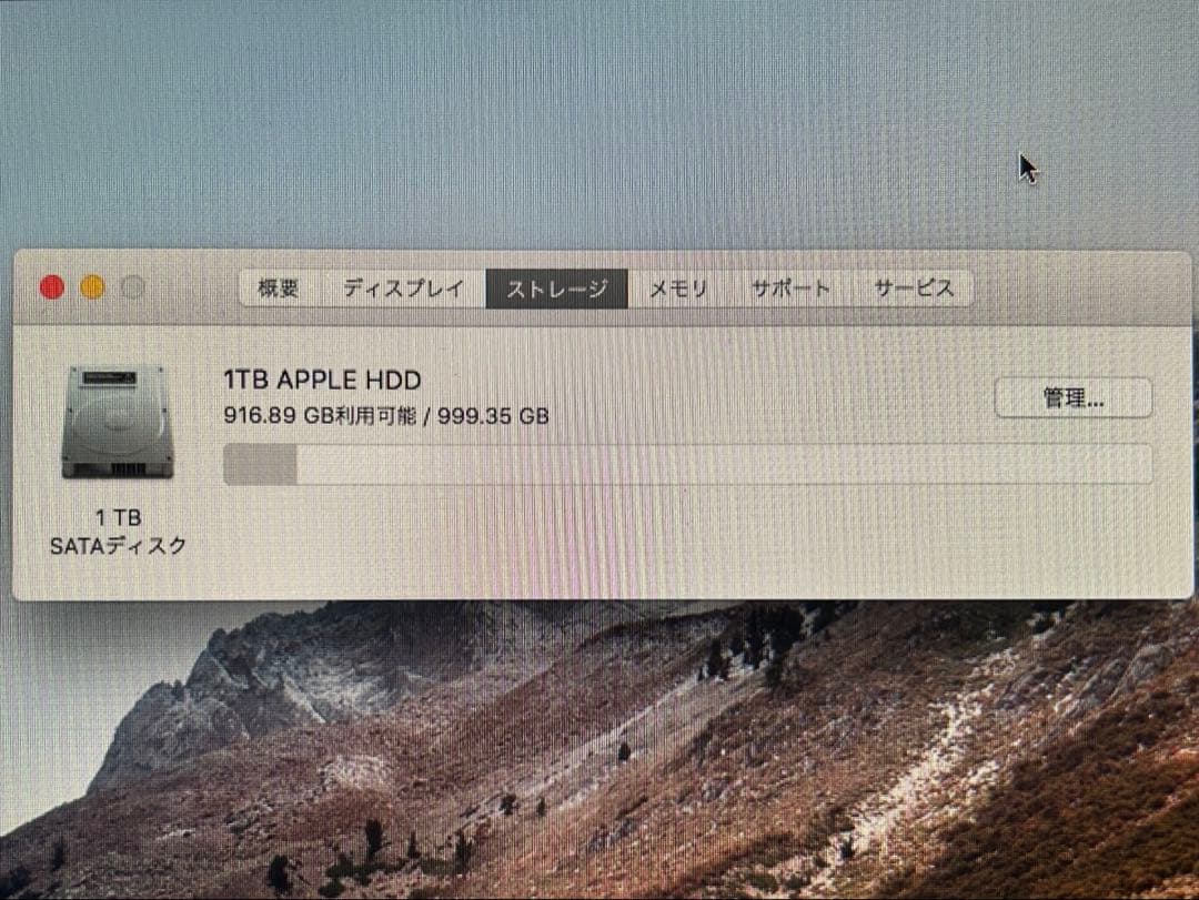 iMac 21.5インチ 1TB(純正マウス+純正USB DVDドライブ)