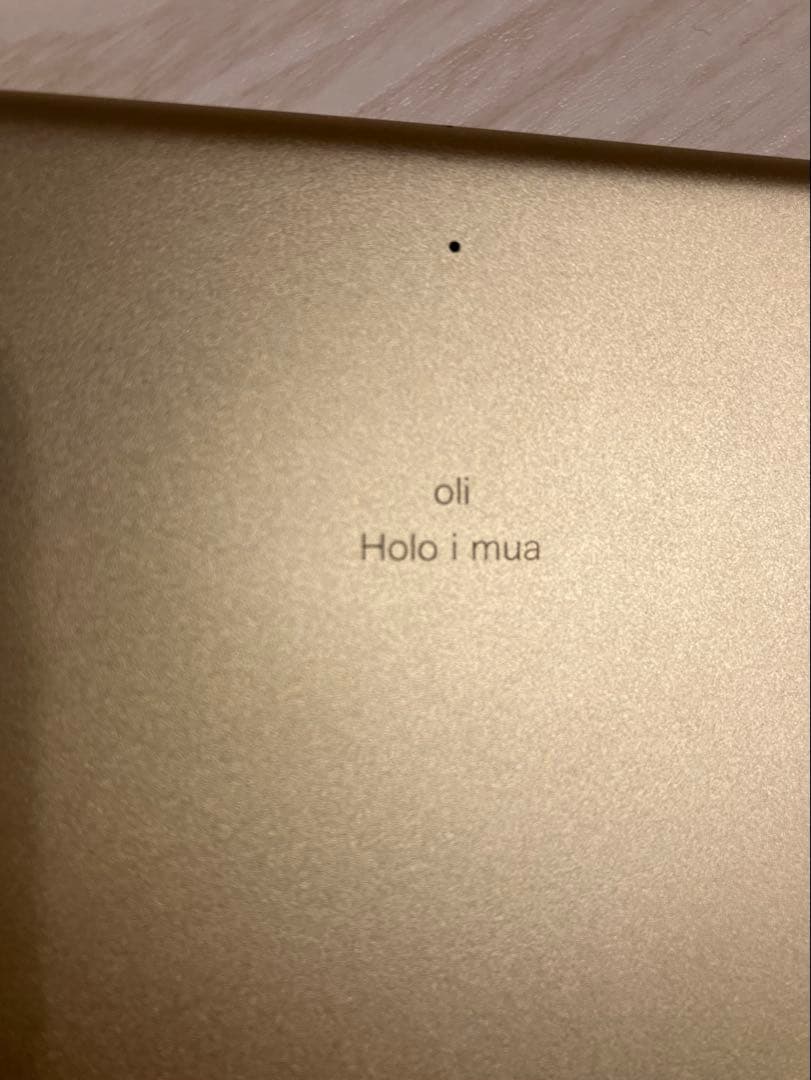 iPad Pro (10.5インチ) 64GB 第1世代