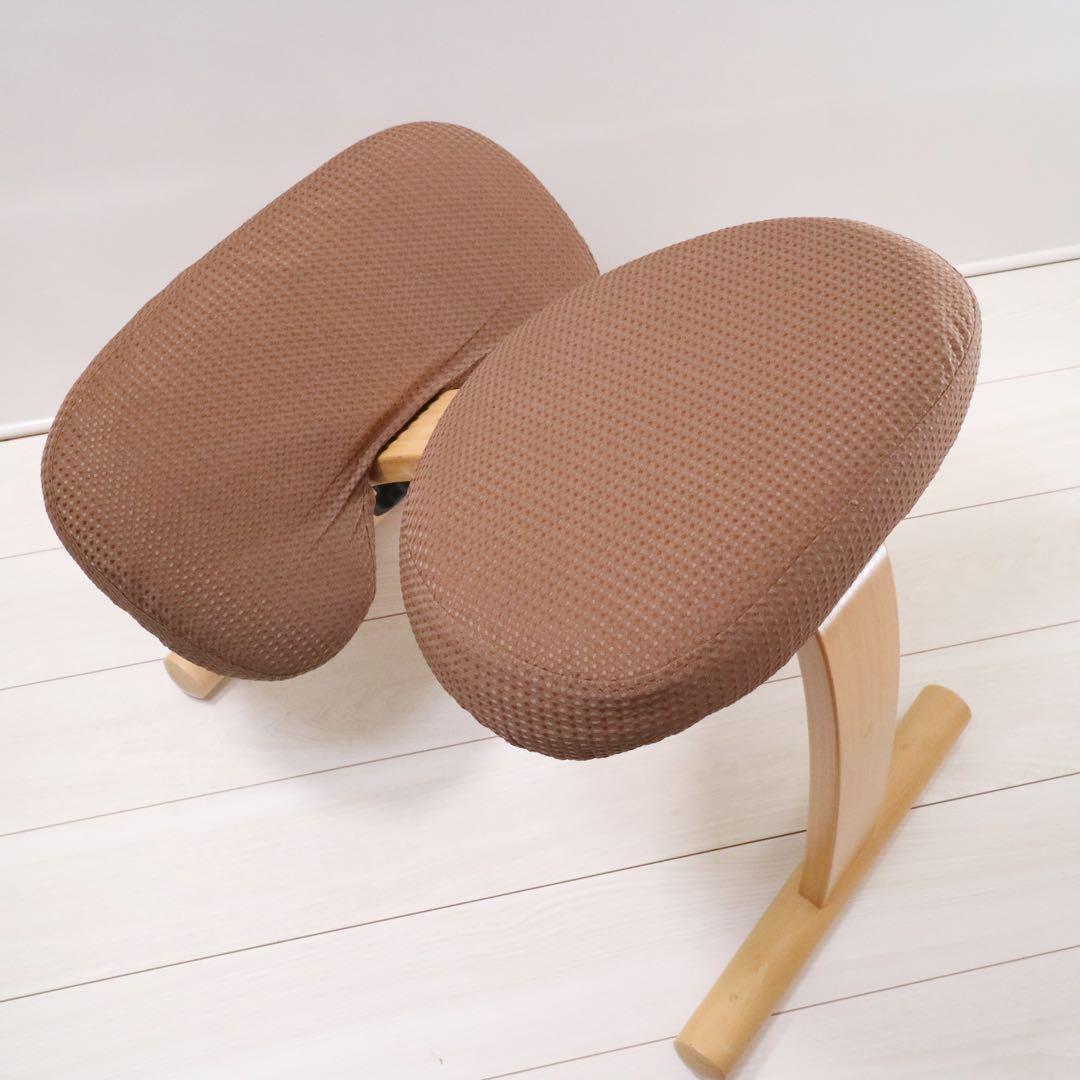 バランスイージー バランスチェア 通常フレーム 背筋矯正