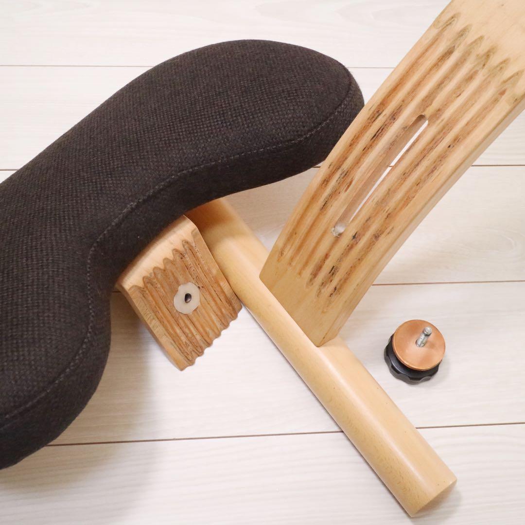 バランスイージー バランスチェア 通常フレーム 背筋矯正