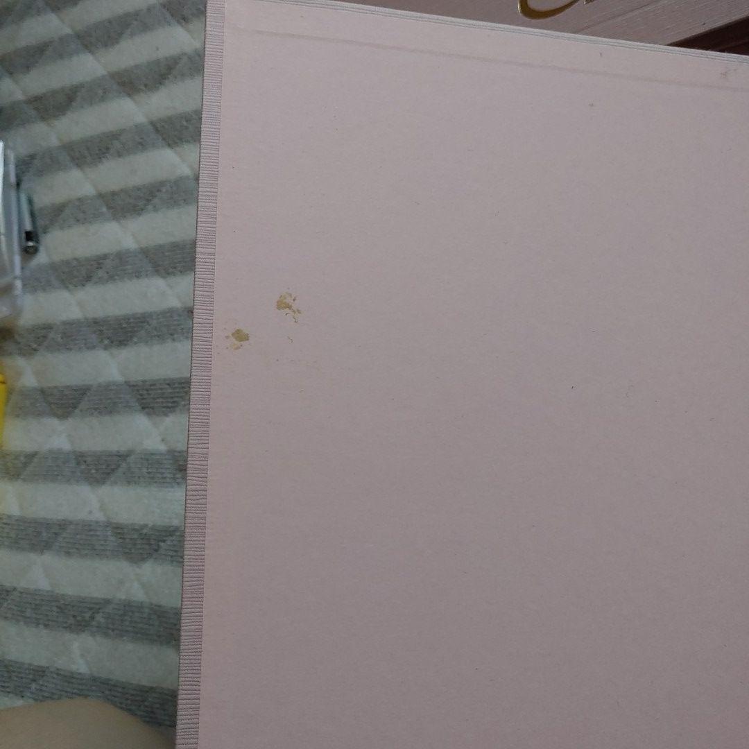 講談社☆東京ディズニーリゾート物語/30号全巻セット/付録　バインダーセット