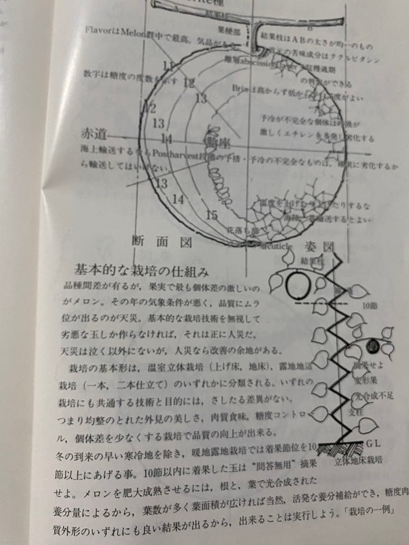 輸入野菜・果実の鮮度保持コンテナ一貫輸送の実績　平成9年1月発行 商船三井