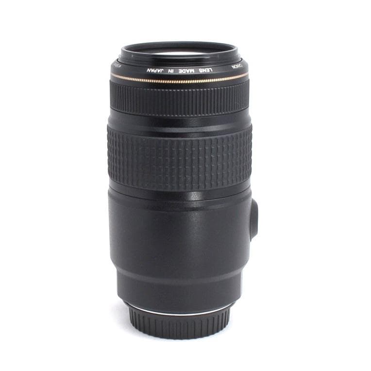★超望遠★Canon EF 75-300mm IS USM★美品★フルサイズでも