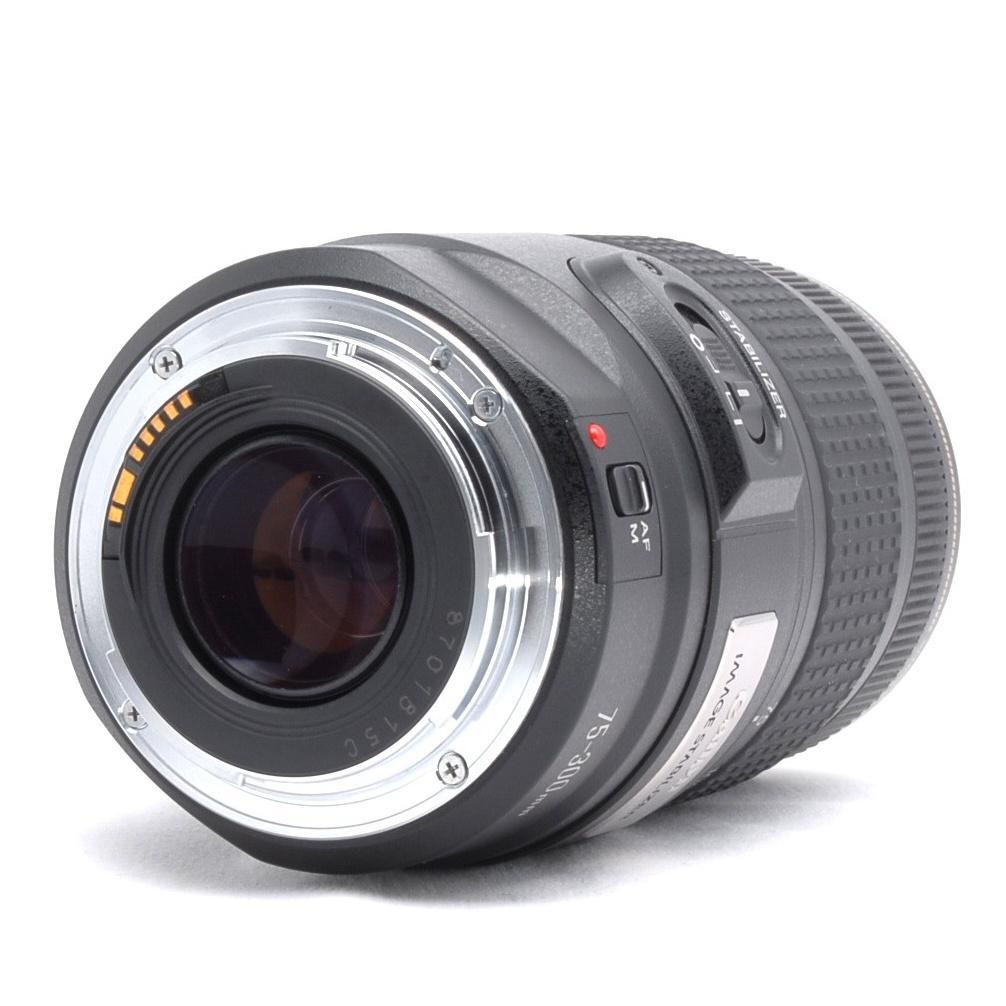 ★超望遠★Canon EF 75-300mm IS USM★美品★フルサイズでも