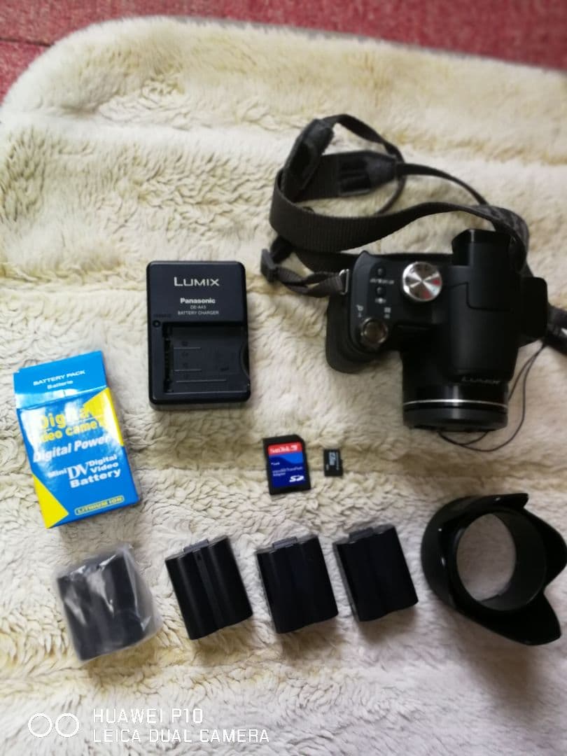 ［作例］動作OK!綺麗　Panasonic DMW-FZ28 コンパクトデジカメ