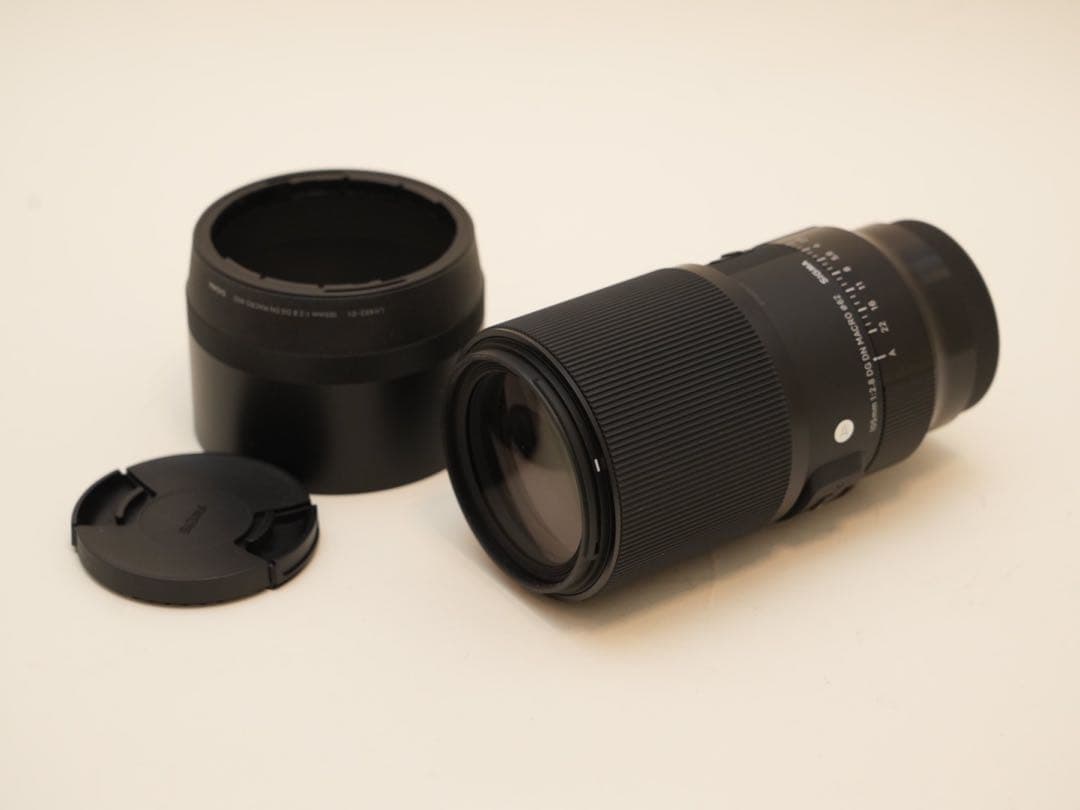 SIGMA 105mm f2.8 DG DN macro SONY用