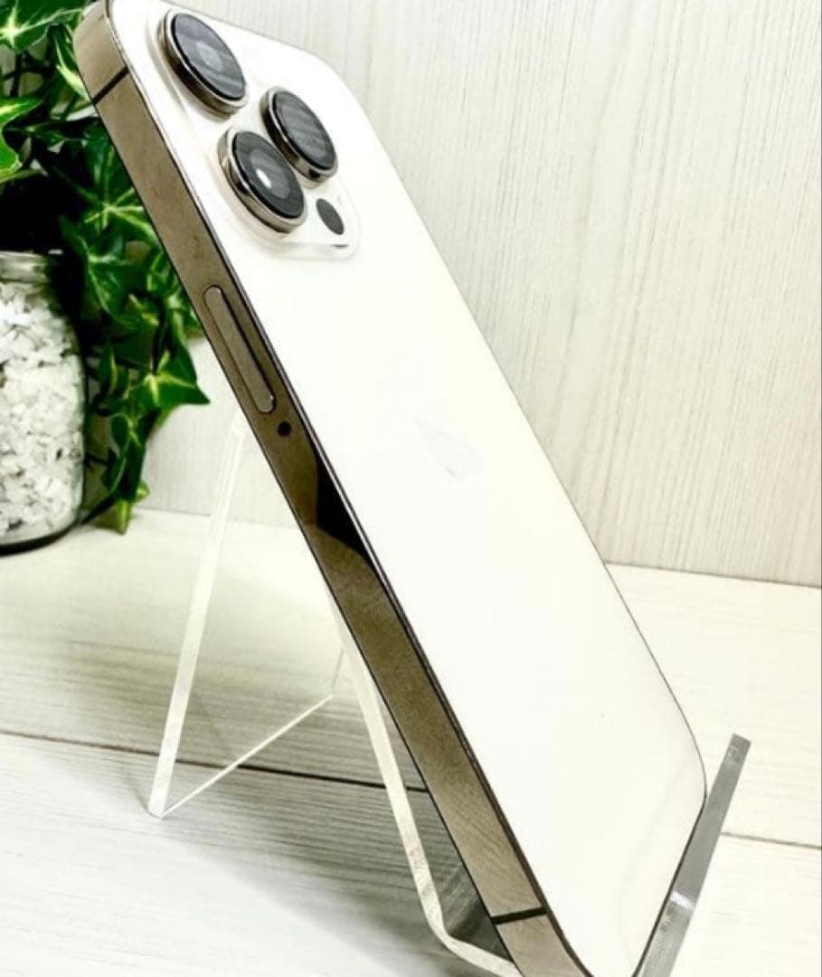 iPhone 14 Pro(使用可能なジャンク品)