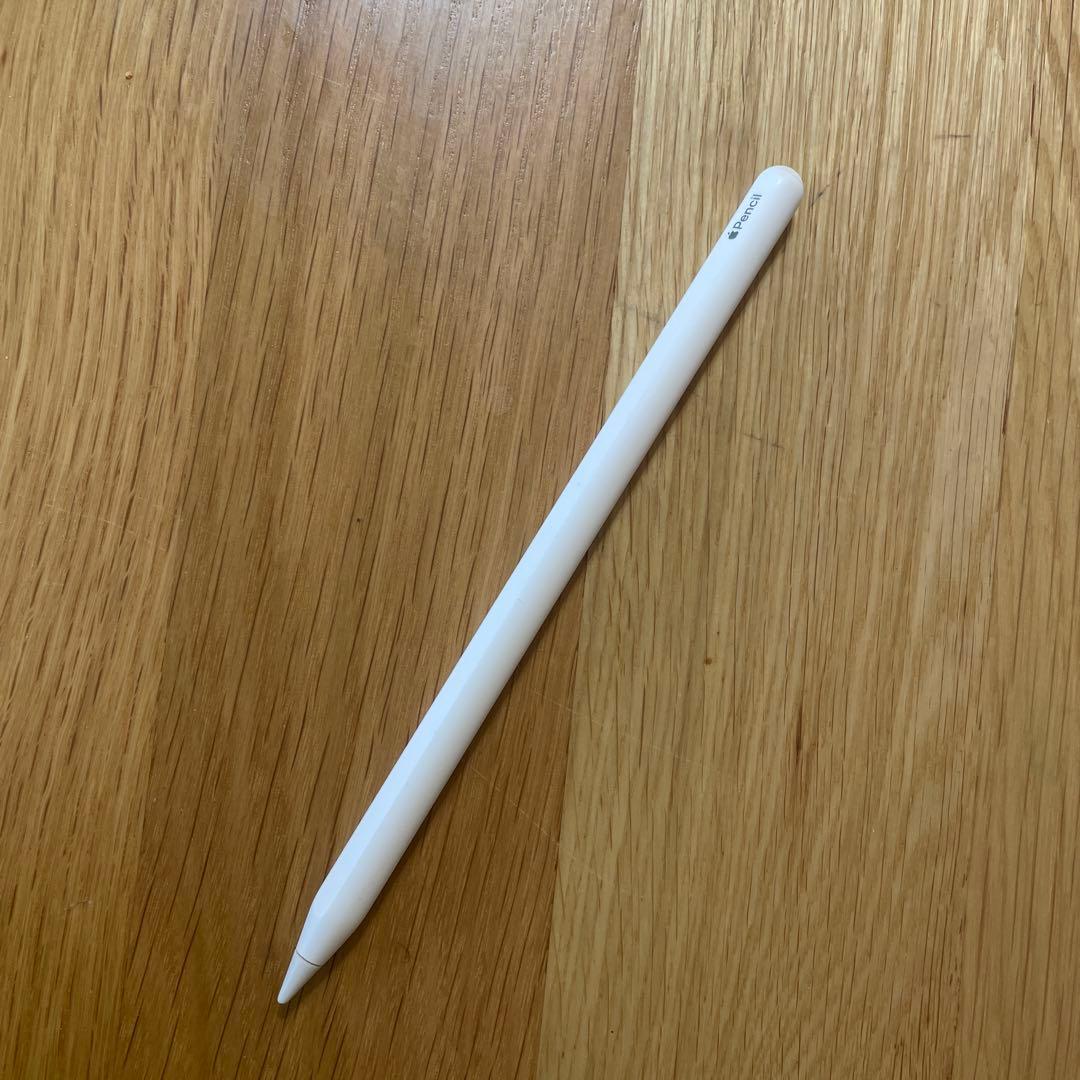 iPad Pro 11インチ 第1世代　256GB 充電100%