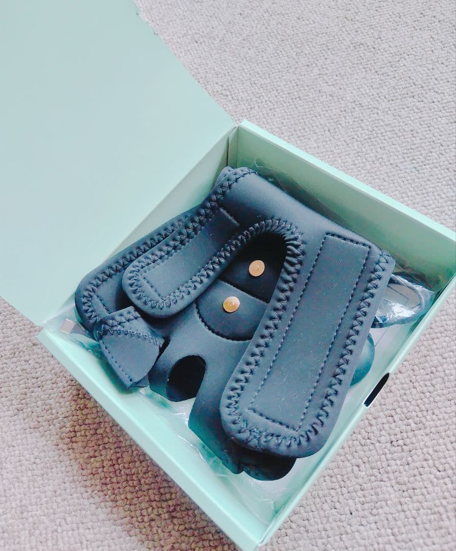 PLEASINGSAN プリージングサン（充電式）美顔器　EMS