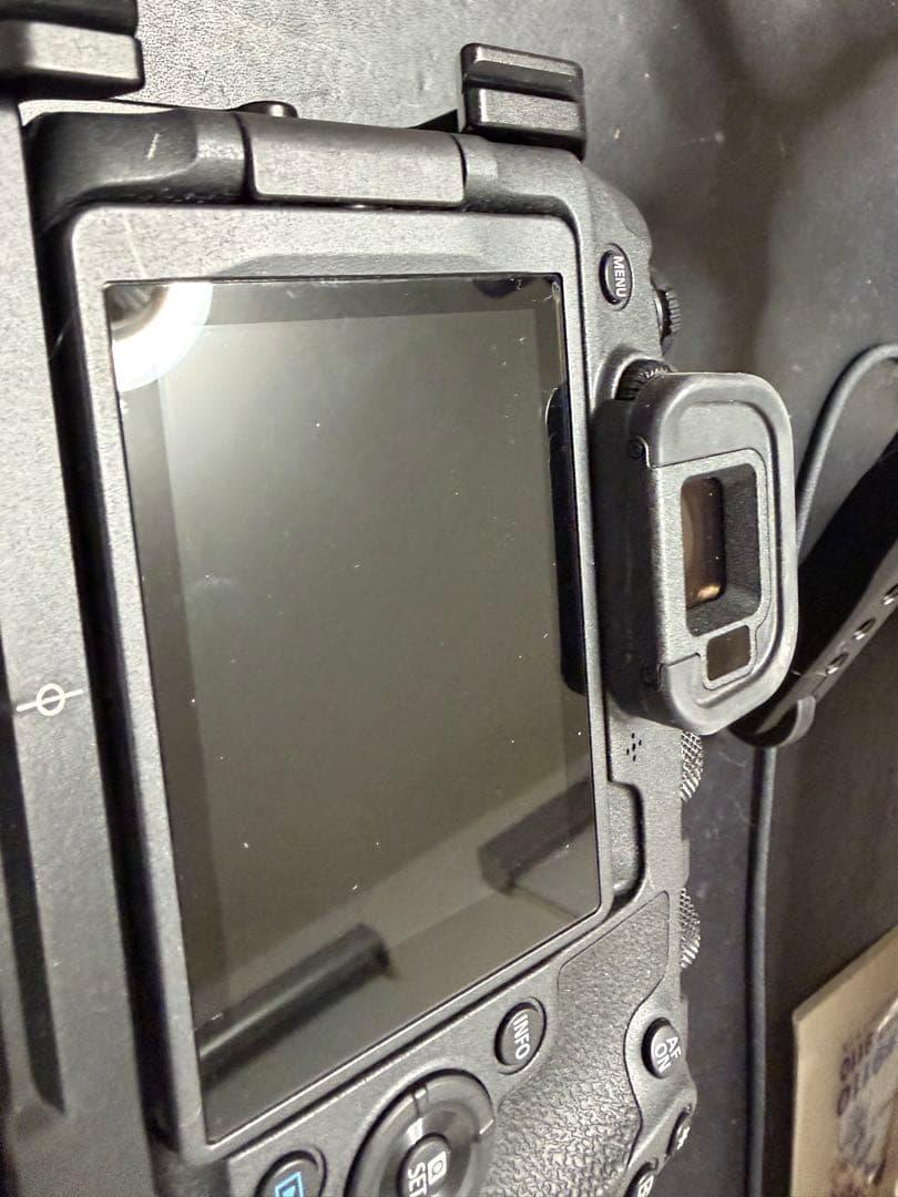 デジタルカメラ Canon EOS R8