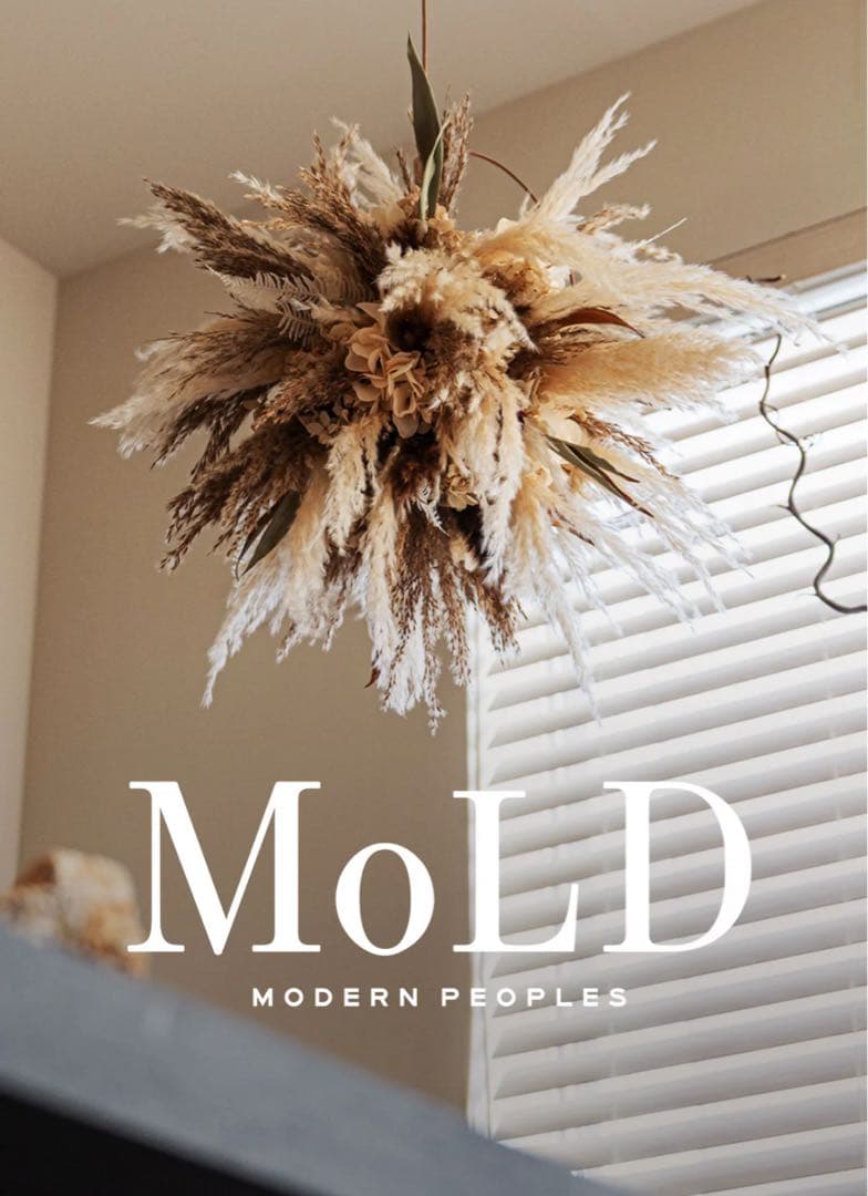 Modern peoples モールド ドライボール