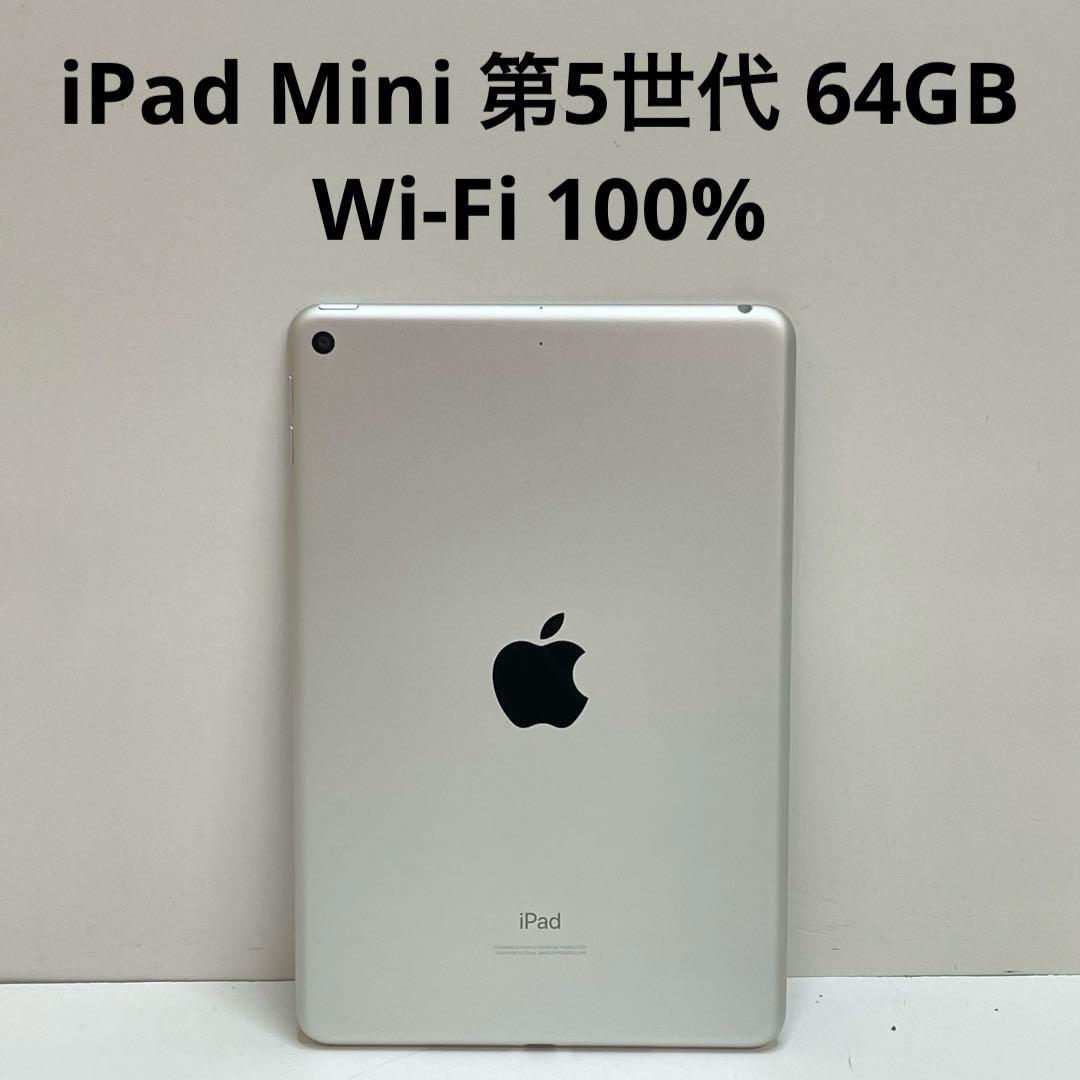iPad Mini 第5世代 64GB Wi-Fi 100%
