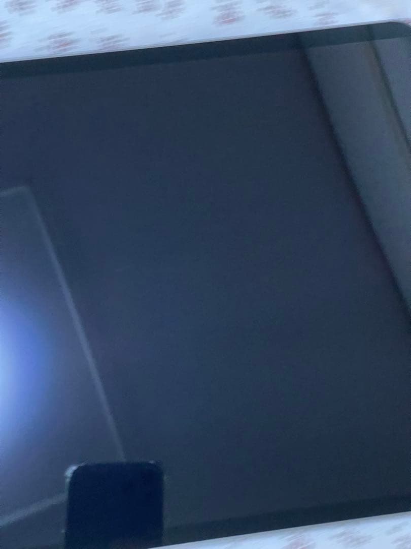 iPad Pro 12.9インチ (第5世代) 1TB WiFi + セルラー