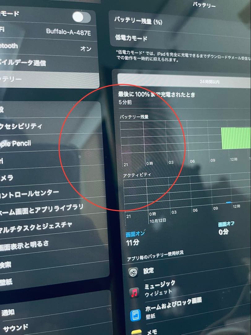 iPad Pro 12.9インチ (第5世代) 1TB WiFi + セルラー