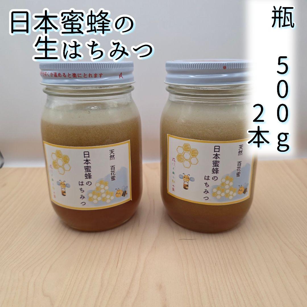 日本蜜蜂　百花蜜　500g×2本　セール中