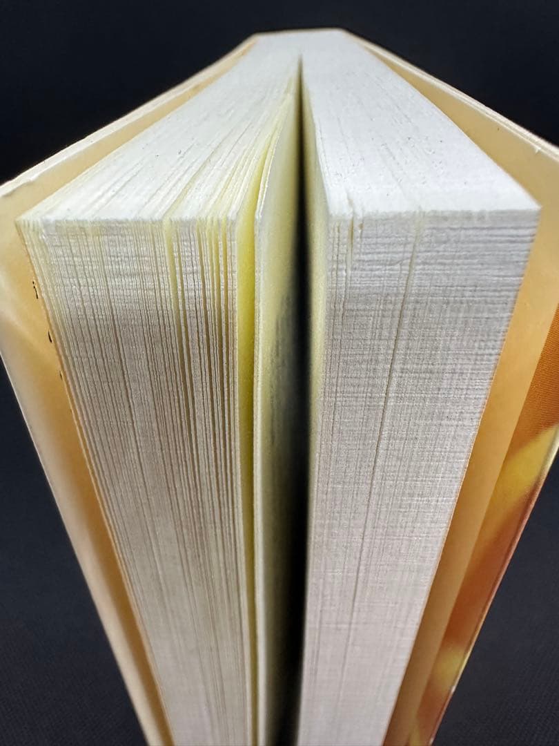 「超スピリチュアルな夢実現」幸福獲得法｜ヴァジム・ゼランド著｜引き寄せ実践書