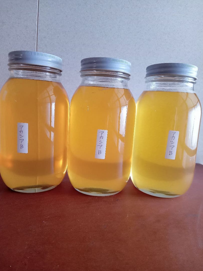 国産アカシア蜂蜜B品1200g×3