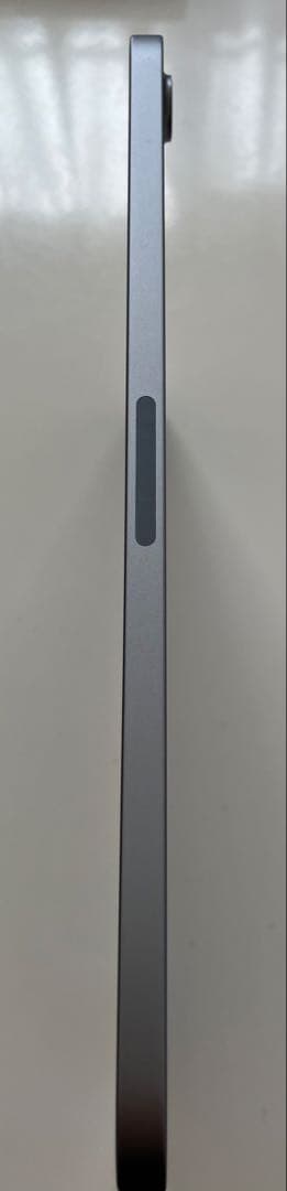 iPad Mini 第7世代 256gb Wi-fi AppleCare