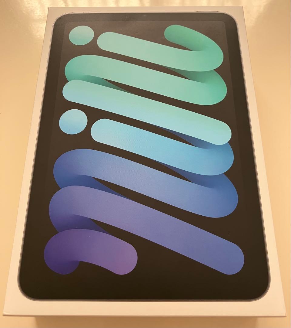 iPad Mini 第7世代 256gb Wi-fi AppleCare