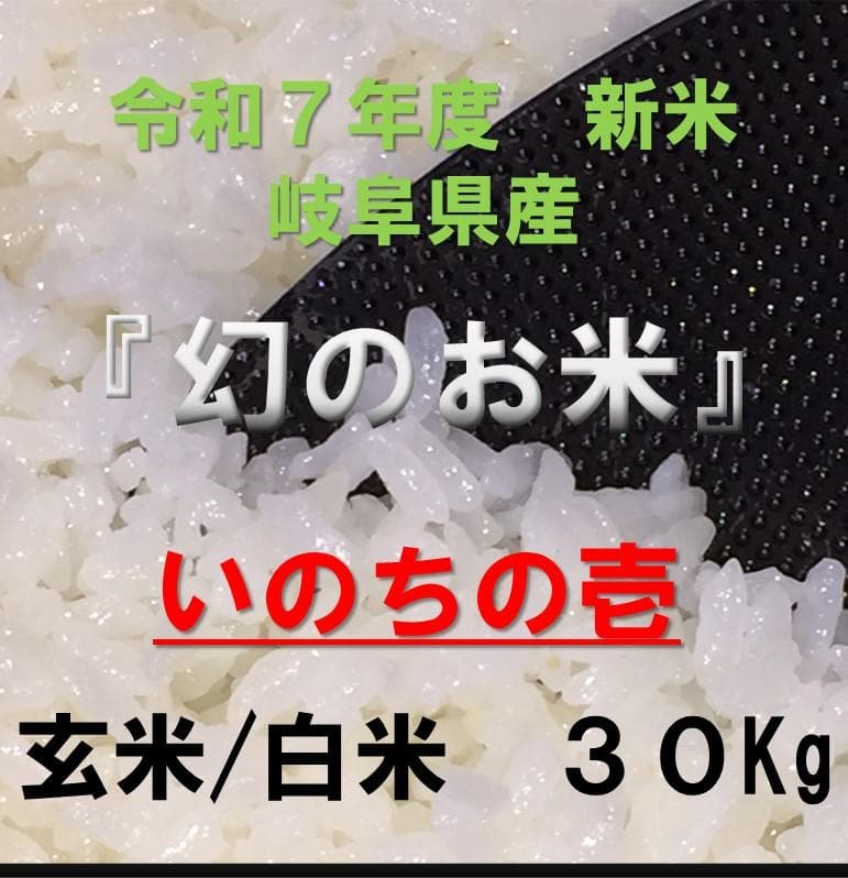 幻のお米　令和7年度『いのちの壱』　岐阜県産　新米 　玄米 ３０kg 　送料無料