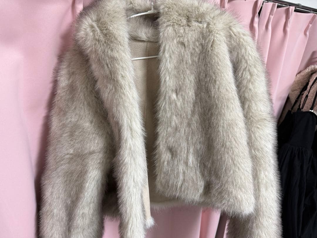 リリlilyeimy istoire フェイクファーフードジャケット