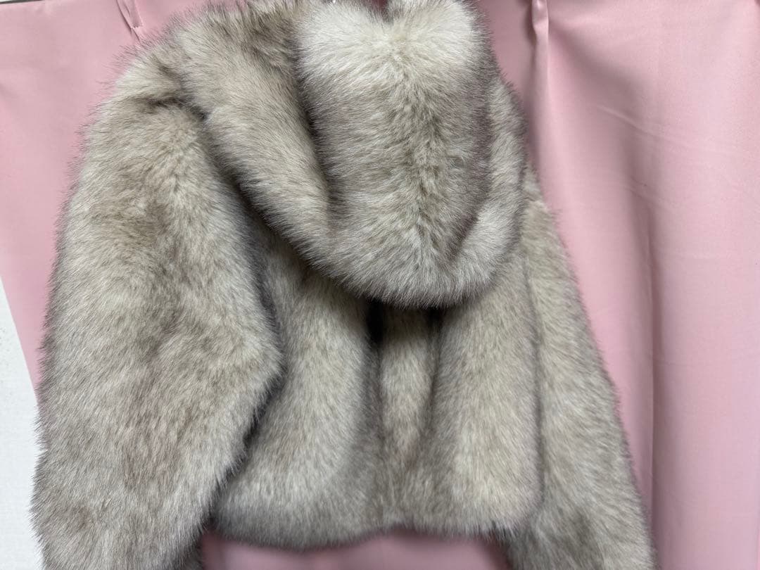 リリlilyeimy istoire フェイクファーフードジャケット