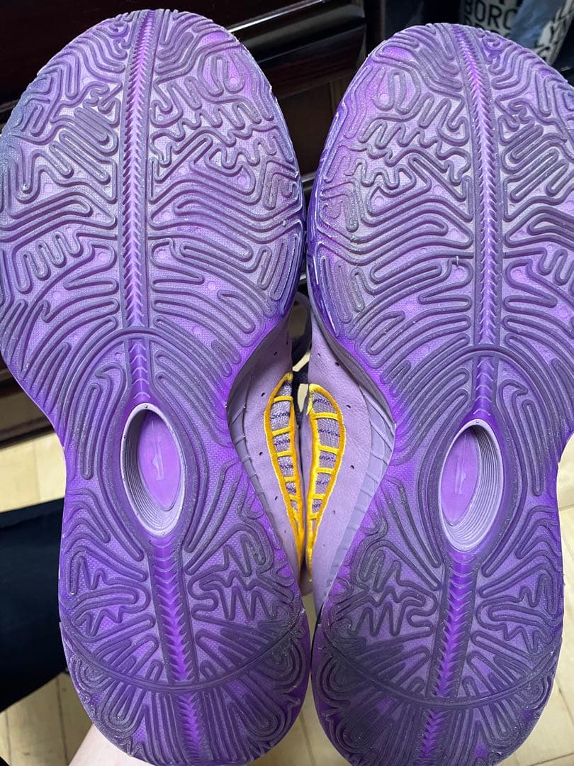 レブロン21 パープル