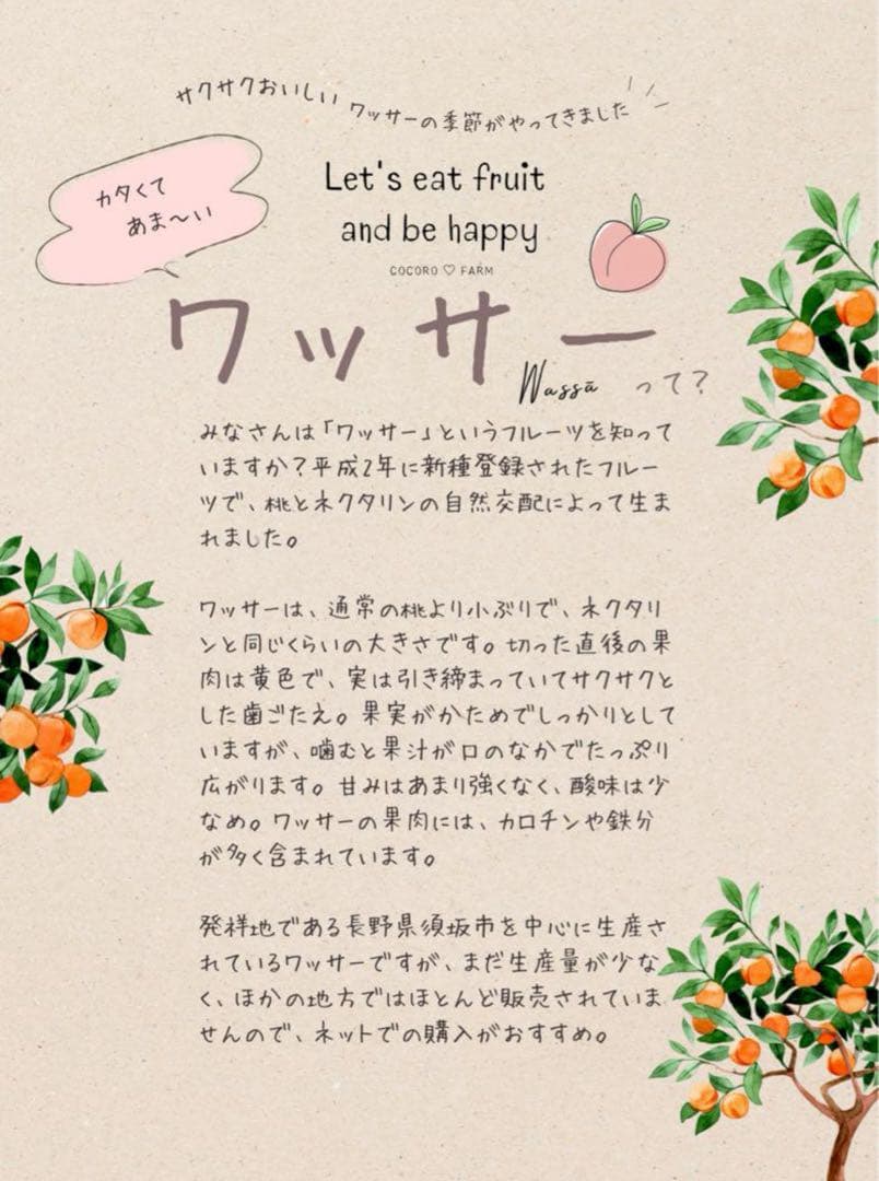 CocoRo♡farm ワッサージャム 12個セット 260g ×12個 無添加