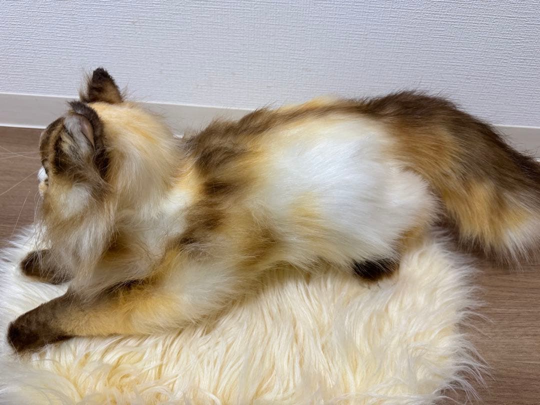 海外作家様作　アートドール　猫　ラグドール