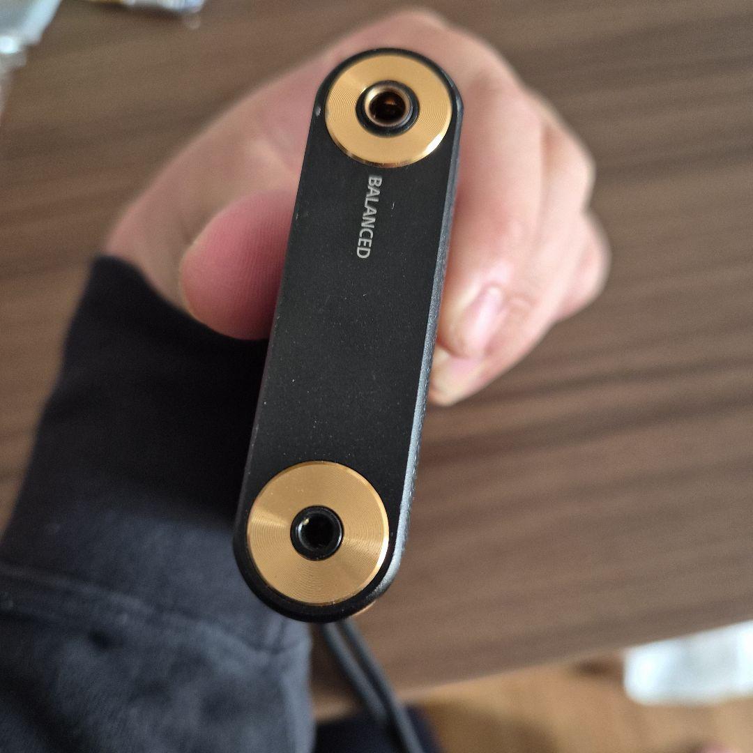 ウオークマン　NW-WM1A