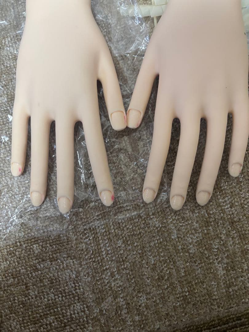 認定モデルハンド　セット