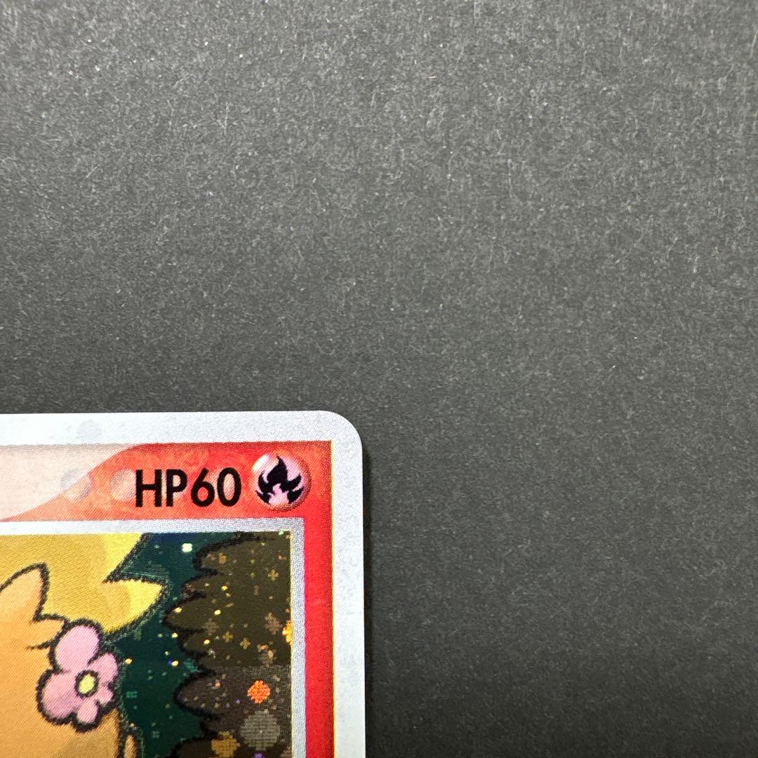 12/0496 良品 ポケパークのアチャモ 002/009