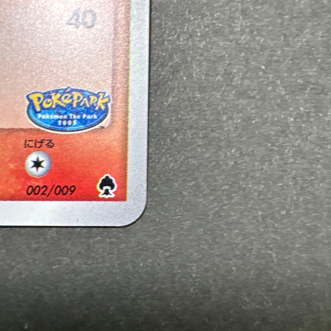 12/0496 良品 ポケパークのアチャモ 002/009