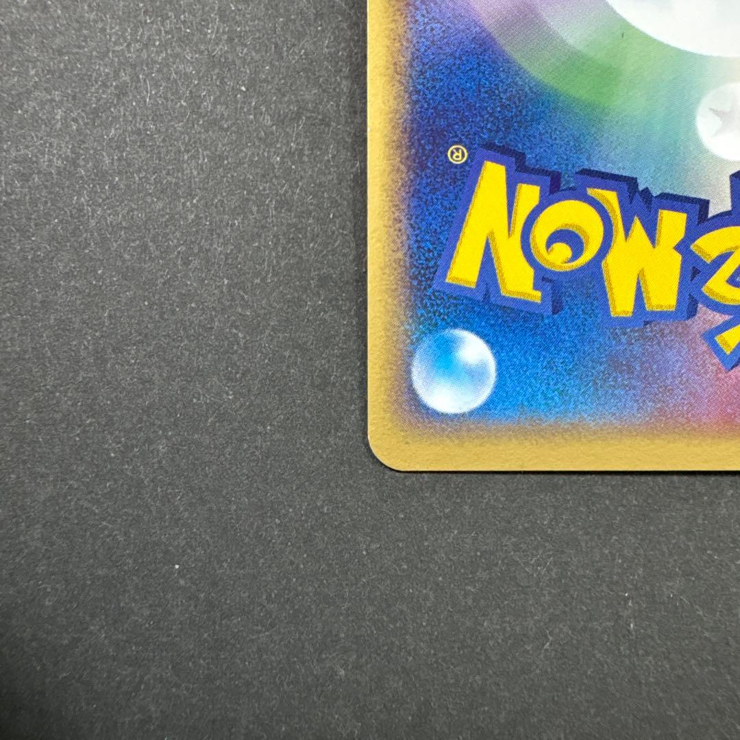 12/0496 良品 ポケパークのアチャモ 002/009