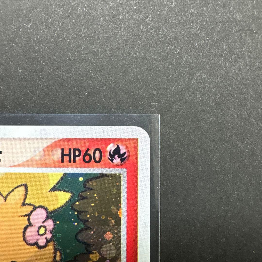 12/0496 良品 ポケパークのアチャモ 002/009