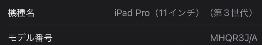 iPad pro 11インチ 第3世代 128GB WiFiモデル 本体