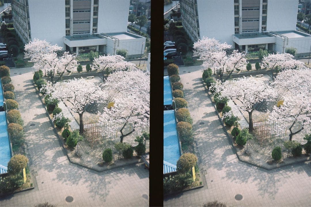 【希少・完動品】maruman EXPRESS ハーフフィルムカメラ