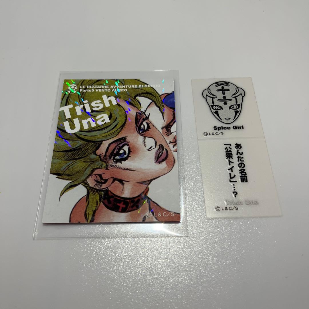 ジョジョの奇妙な冒険　リアルペイントシート 荒木飛呂彦 トリッシュ